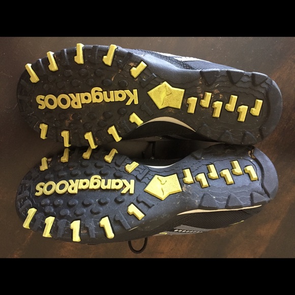 Kangaroos - Picture 4 of 5